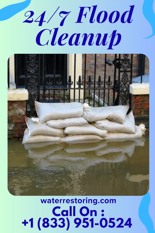 24/7 Flood Cleanup in Chesilhurst, NJ