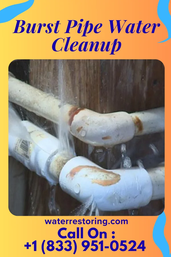 Burst Pipe Water Cleanup in Chesilhurst, NJ