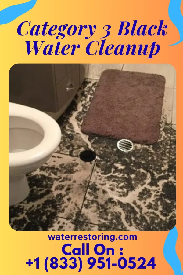 Category 3 Black Water Cleanup in Chesilhurst, NJ