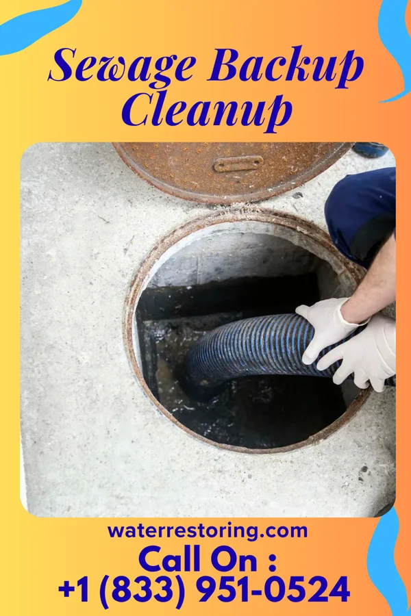 Sewage Backup Cleanup in Chesilhurst, NJ