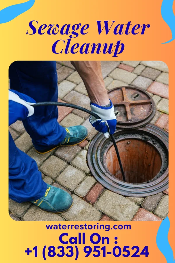 Sewage Water Cleanup in Chesilhurst, NJ